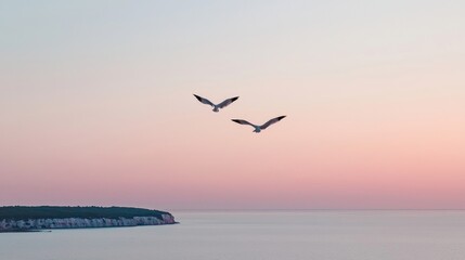 Fototapeta premium Two seagulls soar above a tranquil ocean at sunset. Peaceful coastal scene