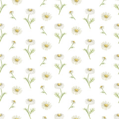 Seamless pattern with chamomile flowers, watercolor botanical illustrations for a delicate summer background, ideal for decorating fabrics, wallpaper, clothing, packaging