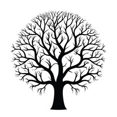 Bare Black Tree Silhouette Isolated on White, Circular Crown and Branch Structure