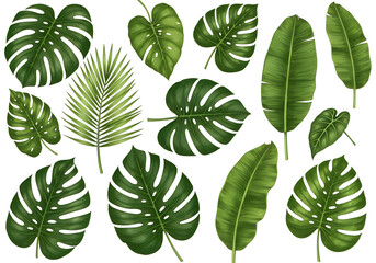 Fototapeta premium Tropical Leaves Watercolor Set - Isolated on transparent background
