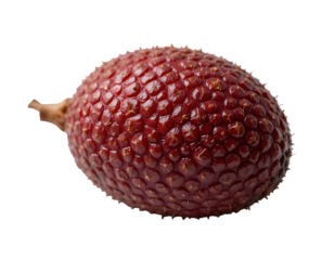 Buriti Fruit Closeup PNG on Transparent Background