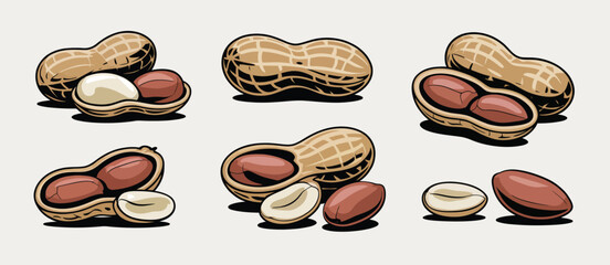 Collection of Peanuts in Shells and Out of Shells