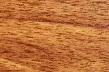 Obraz premium Detailed close up of wood grain texture