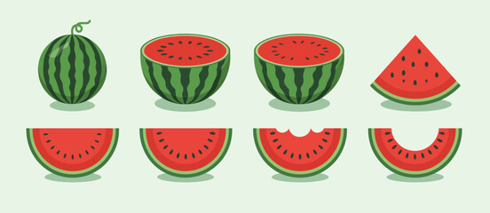 Watermelon Illustration Set Various Slices and Whole Fruit