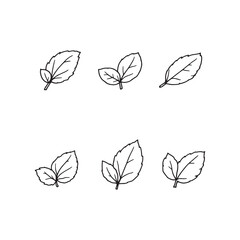 Minimalist Line Art Fresh Mint Leaves for Graphic Design