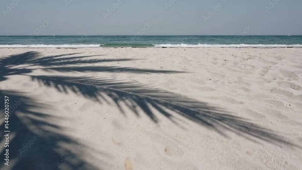 Poster gentle waves lap the shore of a pristine white sand beach as the shadow of a palm tree dances across