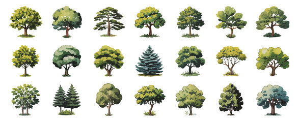 Collection of Twenty Four Diverse Green Trees Illustrations