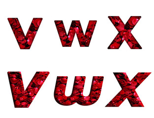 Rose red Petal Petals flower V, W, X  word alphabet letter text english font  