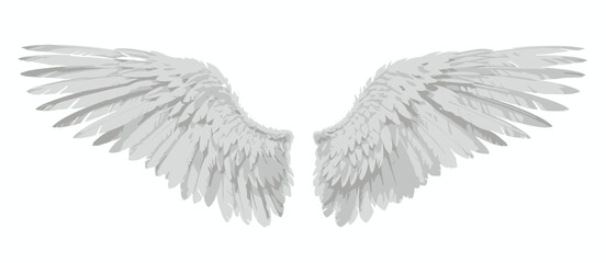 Pair of Gray Angel Wings Isolated on White Background