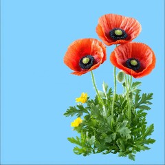Fototapeta premium Trio of beautiful red flowers elegantly arranged in a stylish vase creating a stunning display