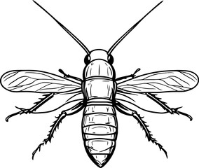 A close-up view of a bug in vector style, depicted in black and white, capturing its detailed structure and form.