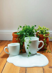  orange pots, home decor, accident, mess, top view, ove