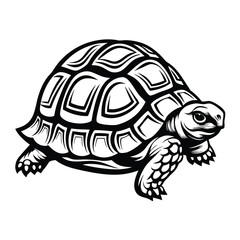 Intricate Black and White Turtle Artwork, Detailed Shell Design, Wildlife