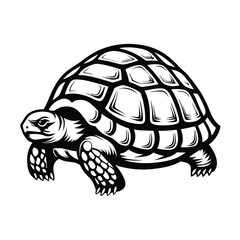Detailed Black and White Turtle Silhouette, Isolated Reptile on White