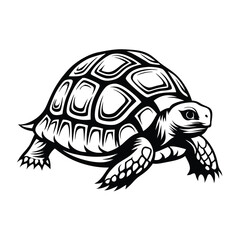 Detailed Turtle Illustration, Black And White Reptile Design, Shell Pattern, Wildlife Art