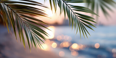 Summer vacation defocused background blurred sunset over the ocean and palm leaves