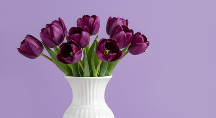 Obraz premium Stunning Purple Tulips in White Vase Beautiful Flower Photography isolated on transparent background