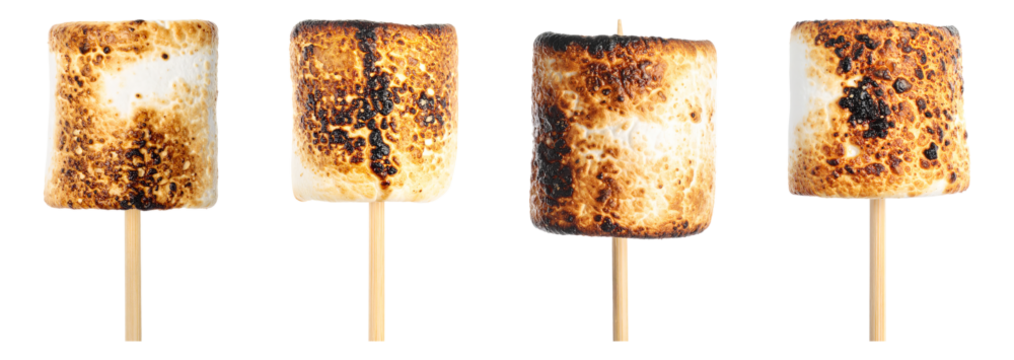Four marshmallows on wooden sticks with toasted exteriors arranged in a horizontal line up close view on transparent background
