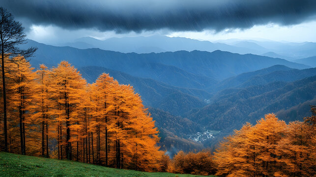 Golden Larch Trees Frame a Rainy Mountain Vista