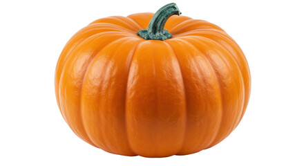 Isolated Pumpkin