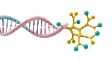 Isolated DNA and Molecule