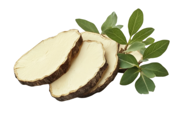 Close up of Dried Astragalus Root Slices Traditional Herbal Remedy on transparent background