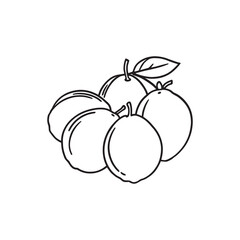 Simple Elegant Nance Line Art Design for Creative Projects