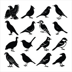 Silhouette Vector Set of Popular American Birds © rafsanwd