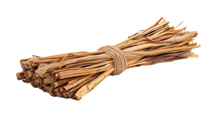 Professional Broomstick Isolated on Transparent Background - Clean Sweep Concept