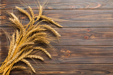 Sheaf of wheat ears close up and seeds on colored background. Natural cereal plant, harvest time...