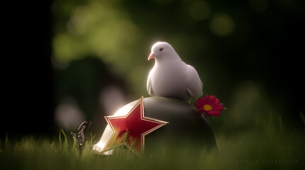A symbolic white dove sits atop a worn World War helmet with a red ribbon