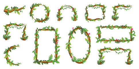 Jungle frames. Tree foliage. Rainforest liana.