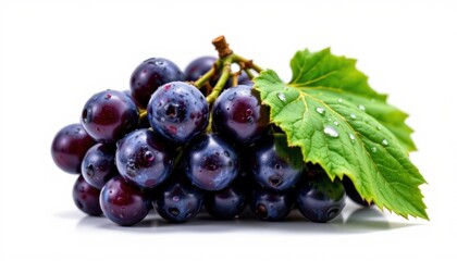 Fototapeta premium Harvesting fresh grapes vineyard food photography natural light close-up fresh produce concept