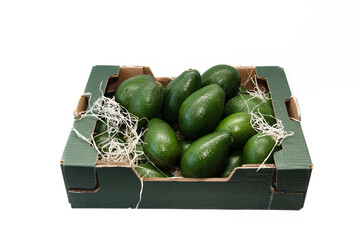 Close-up of a cardboard box filled with healthy and tasty whole green avocados on a white background.