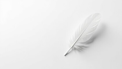 Obraz premium A single white feather floating on a stark white background, lightness, downy