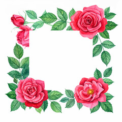 Fototapeta na wymiar Akwarelowa ramka kwiatowa z czerwonymi różami i liśćmi