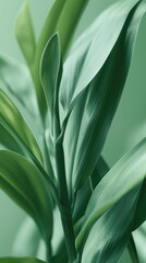 Obraz premium Closeup vibrant green foliage texture image