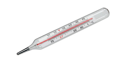 Isolated Medical Thermometer