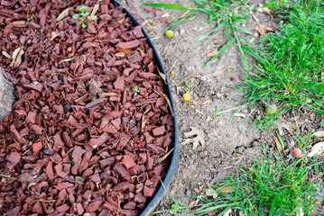 Red recycled rubber mulch nuggets retained inside tight circle ring of black plastic landscape edging roll, prevent weed growth and not attract damaging insects as termites or carpenter ants