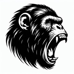 animals silhouette of wildlife