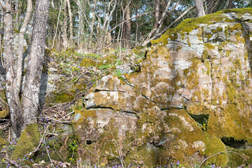 Natural state grove
