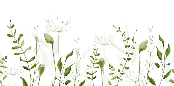Watercolor floral greenery seamless border. Green and sage wild twigs, branches, herbs, leaves and poppy flower buds. Hand drawn style illustration. Artistic template design.