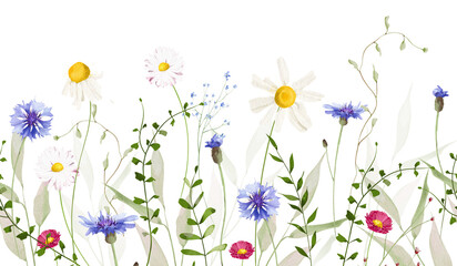 Watercolor floral seamless border frame. Meadow blue cornflowers, daisy, chamomiles, wild flowers, green branches, leaf. Hand drawn style illustration. Artistic template design.