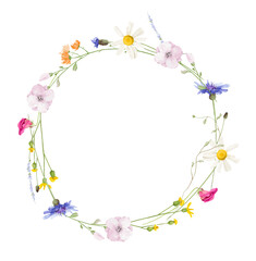 Watercolor floral round wreath frame. Wild meadow blue cornflowers, pink, violet, orange, yellow flowers, green branches. Hand drawn style illustration. Artistic template design.
