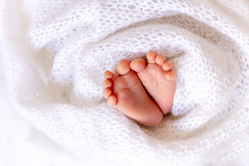 newborn baby's legs on a white background, baby's heels in the form of a heart, a place for text