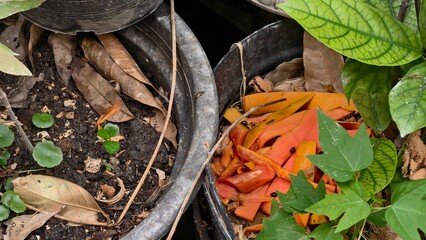 Composting Process with Organic Waste and Leaves