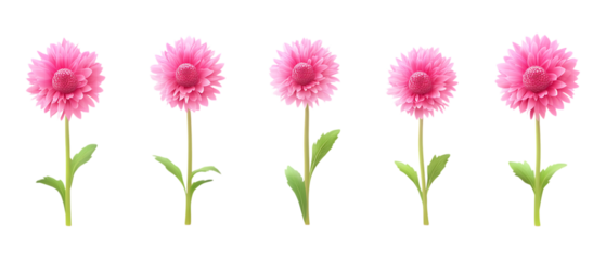 Set of Smiling Fluffy Flowers in Five Different Poses on Transparent Background for Cute Character Design, Kids Graphics, or Sticker Sets