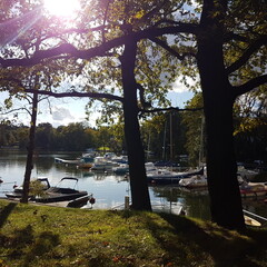 Sailboats on Scharmuetzel Lake in Germany 