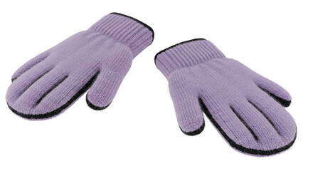 Isolated Pair of winter gloves