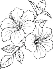 Rose of Sharon Flower Doodle | Line Art Vector Illustration for Coloring Book | Floral Graphic Design Page